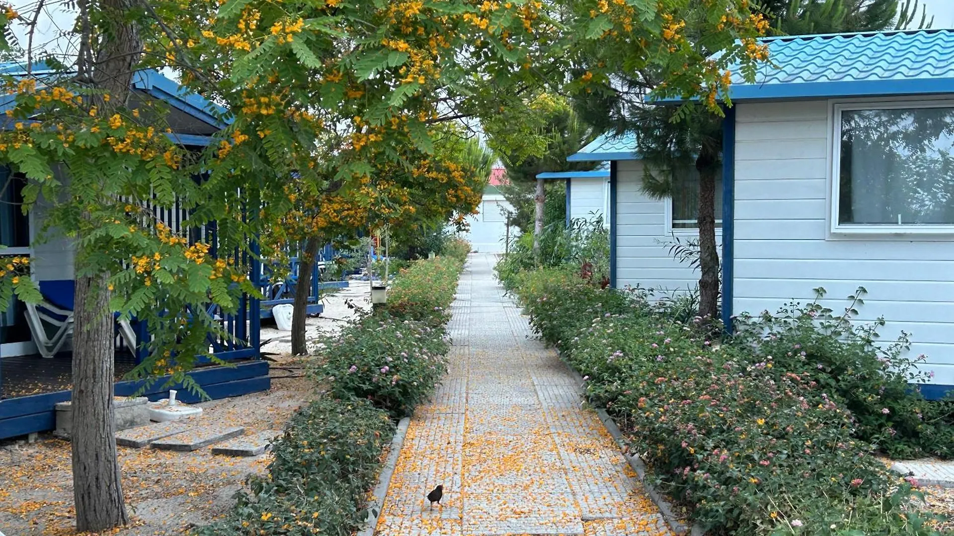 Orbitur Ilha De Armona Villa Olhão